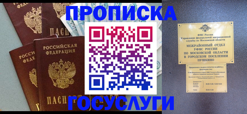 прописка гарантия в Камбарке